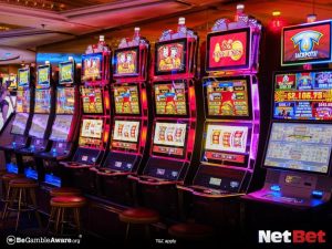 888win|Descubra Bingo Online no Site de Apostas com Versão Mobile